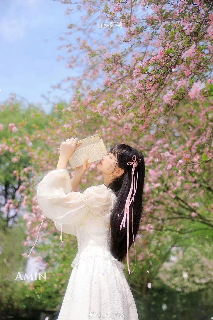 扫黑风暴 封面