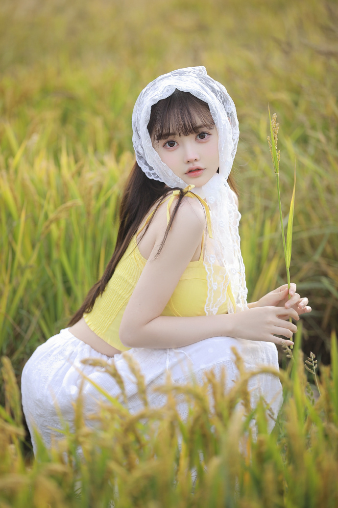 黑暗荣耀 封面